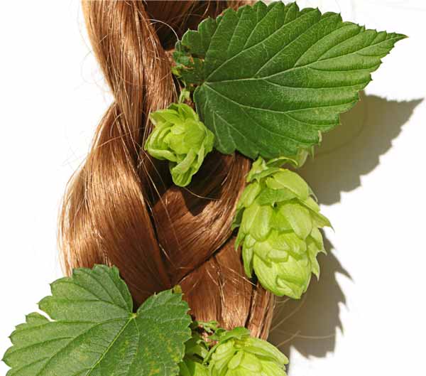 hopfenzopf